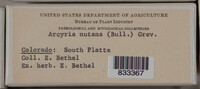 Image Associated With the Occurence